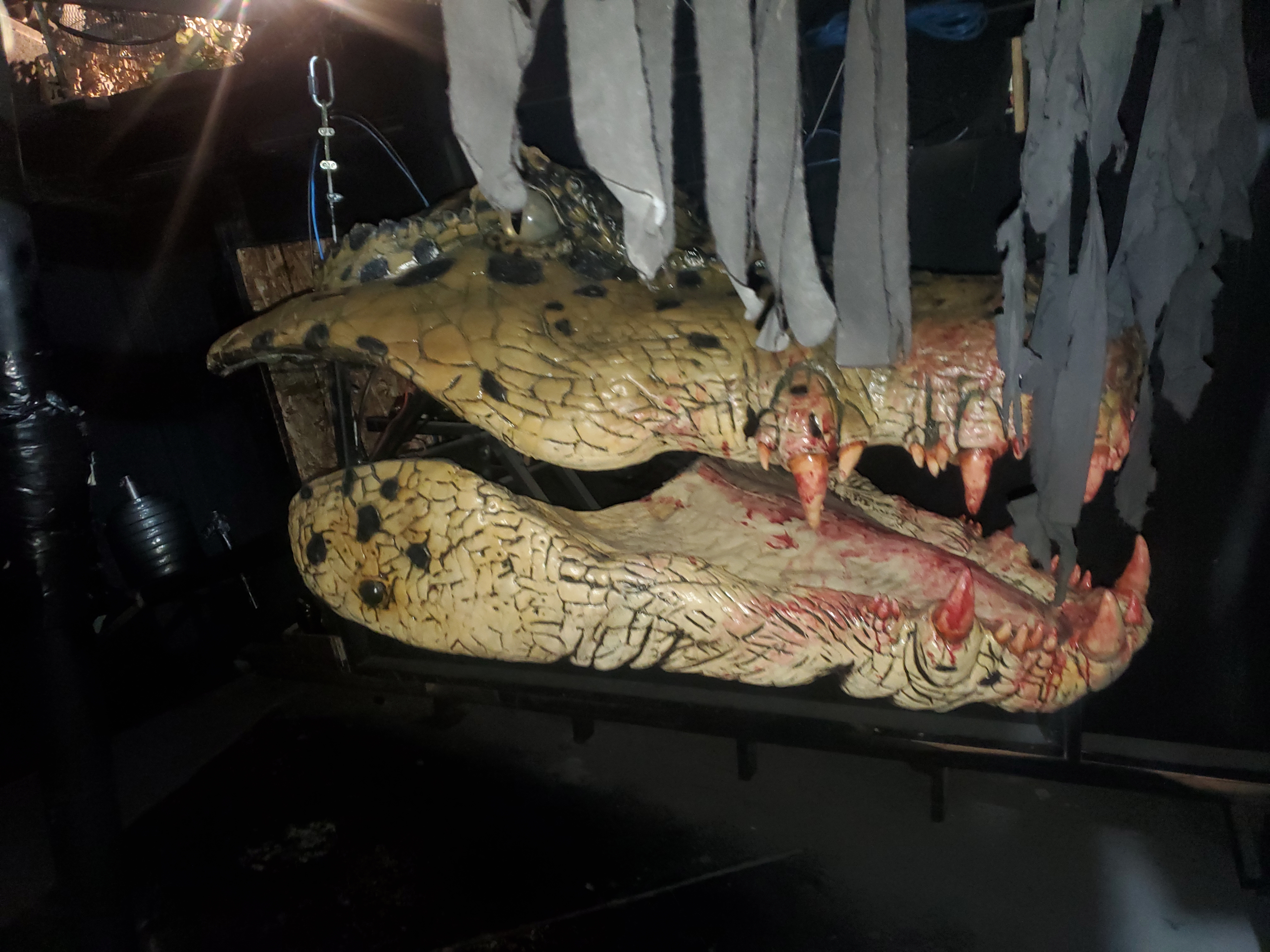 Brutus the Crocodile